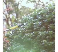 Buse de ventilateur de pulvérisation haute pression à économie d'eau adaptée pour l'irrigation du jardin agricole, l'humidification de serre et le refroidissement extérieur avec plusieurs options de