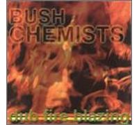 Bush Chemists - Dub Fire Blazing [Vinyl LP]