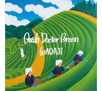 Bush Doctor Breen [Import allemand]