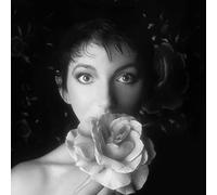 Kate Bush – Remastered in Vinyl Part 2 – Coffret vinyle 4 LP – Édition limitée (Import)