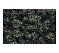 Bushes Shaker, Forest Blend50 cu. in. G