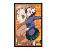 Bushiroad Sleeve Collection HG (high-grade) Vol.418 Accel World "Kurashima thousand lily" Part.2 (japan import)