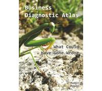 Business Diagnostic Atlas: What Could Have Gone Wrong