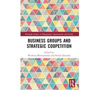 Business Groups And Strategic Coopetition