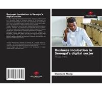 Business Incubation In Senegal's Digital Sector