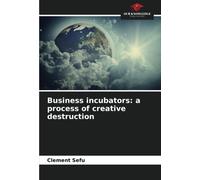 Business Incubators: A Process Of Creative Destruction