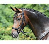 BUSSE Bridon MODENA - Cheval