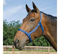Busse Licol de pâturage - bleu royal, Taille:Poney (S)