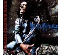 BUSTA RHYMES - When Disaster Strikes by BUSTA RHYMES