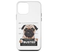Busted Pug Mugshot Funny Dog Humor Coque pour iPhone 12 Mini