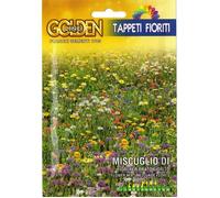 Bustina Miscuglio Di Fiori Prato Fiorito Orto Fiori Giardino Semi