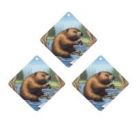 Busy Beaver Lot de 3 désodorisants à suspendre pour voiture, maison, voiture, décoration intérieure