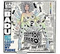 Erykah Badu – But You Caint Use My Phone – Vinyle