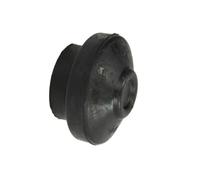 Butée élastique, suspension du moteur REINHOCH RH11-0043