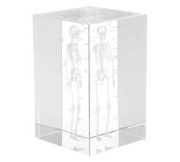 BUTIFULSIC Modèle Anatomique en Cristal 3d Cube Structure Réaliste du Squelette Humain pour Enseignement Scientifique et Décoration Élégante de Bureau