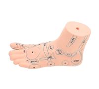 BUTIFULSIC Modèle D'enseignement Réaliste de Points D'acupuncture du Pied Gauche en Vinyle Beige 19 Cm, Outil Éducatif pour Écoles de Soins et Formation en Physiologie