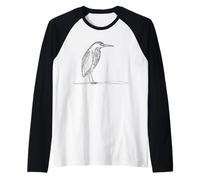 Butor Linéaire Observateur Oiseaux Manche Raglan