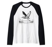 Butor Linéaire Observateur Oiseaux Manche Raglan
