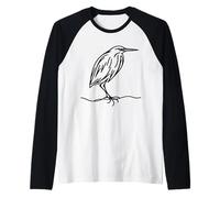 Butor Linéaire Ornithologue Manche Raglan
