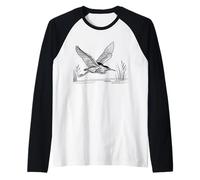 Butor Linéaire Ornithologue Manche Raglan