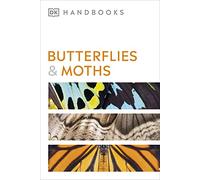 Butterflies And Moths