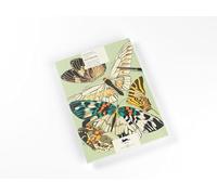 Butterflies: Artists' Colouring Book