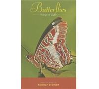 Butterflies: Beings Of Light (Paperback) Rudolf Steiner, (Auteur)