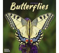 Butterflies Calendar 2025 Square Butterfly Wall Calendar - 16 Month