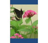 Butterflies From Heaven Journal: Prayers and Promises