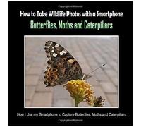 Butterflies, Moths And Caterpillars: How I Use My Smartphone To Capture Butterflies, Moths And Caterpillars (How To Take Wildlife Photos With A Smartphone)