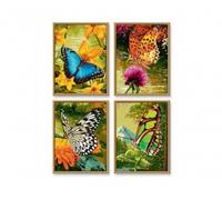 Butterflies Quattro - Peinture par numéros