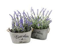 Butterfly Craze Heart to Heart Violet Soie Arrangements Floraux Simili Fleurs de Lavande Plante Home Office Décor Ensemble de 2 PC