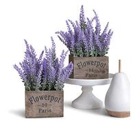 Butterfly Craze Plantes de Lavande artificielles dans des Pots rustiques en Bois - Réalistes, Superbes Fleurs Violettes en Soie synthétique parfaites pour surélever Votre terrasse, décoration