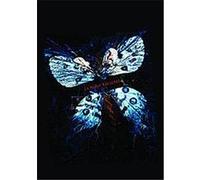 Butterfly Effect Trilogy G