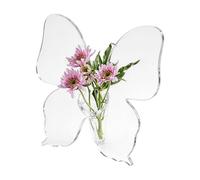 Butterfly Vase - Transparent Home Office Desk Decorations | Desktop Vase with Frame | for Homeowners Decorators Renters Home Apartment Bookshelf Window Sill Living Room Bedroom Office
