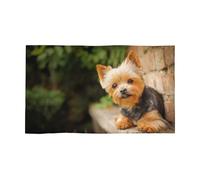 ButxeT Serviette, Serviette à Main, Chiffon de Lavage du Visage, Serviettes de Bain Douces pour Salle de Sport d'hôtel 40x70 cm,Yorkshire Terrier Bokeh Chiens Mignons Mur Yorkie