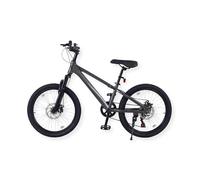 Buxibo - Vélo Laguna - VTT pour Enfants - Cadre en Alliage d'aluminium - 20 Pouces - Gris