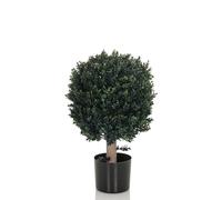 BUXUS - Plante artificielle Vert