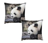 buyiikjd PandaHousse De Coussin 12 "x12 Lot De 2 | en Tissu Épais Aspect Lin, Doux Et Décoratif pour Canapé Et Salon - Style Bohème Chic, Idéal pour Décoration Chambre, Beige Crème