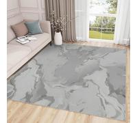 buyluhn Petit Tapis Gris Marbre Entree Interieur Absorbant 60x90, Paillasson Fin Tapis Salon Abstrait Lavable Machine Tapis Doux Decoration, Moquette Poil Ras Enfant Ado Adulte S-21