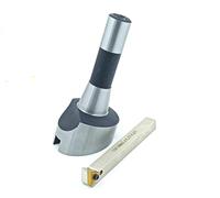 Buyohlic Fraise à mouche à tête large de 6,3 cm avec tige R8 avec outil volant indexable