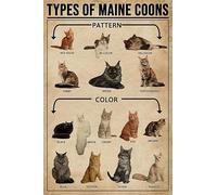 Buywell Affiche en métal avec motif chat « Types of Maine Coon » - Décoration murale - 20,3 x 30,5 cm