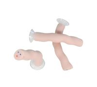 buyzg Modèle Anatomique du Placenta et du Cordon ombilical, Outil de Formation détaillé en gynécologie avec Affichage artériel et veineux pour l'enseignement médical