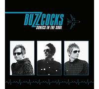 Buzzcocks – Sonics in the Soul – Vinyle 12"