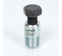 BUZZETTI Arrache Volant Compatible avec Moto Minarelli 50 AM6 5209 / M19x1.0 STD/Ducati