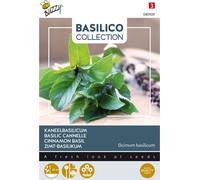 Buzzy Basilic Cannelle Graines - Environ 1,5 gr | Buzzy_080909