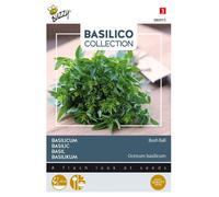 Buzzy Basilic en pot Greco très fines feuilles Graines - Env. 1,5 gr | Buzzy_080915