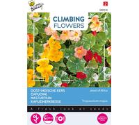 Buzzy Climbing Flowers Tropaeolum Jewel of Africa Graines - Environ 3 gr | Buzzy_080936