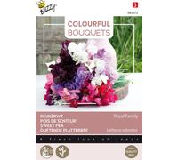 Buzzy Colourful Bouquets Royal Family (lathyrus) Graines - Environ 5 gr | Buzzy_083072