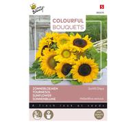 Buzzy Colourful Bouquets Sunlit Days Graines de tournesol - Environ 1 gr | Buzzy_083070